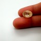 Yellow Sapphire (Pukhraj) 8.44 Ct Good quality Yellow Sapphire (Pukhraj) 8.44 Ct Good quality